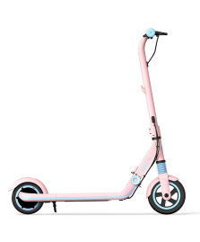 Электросамокат Segway-Ninebot eKickScooter Zing E8 Розовый